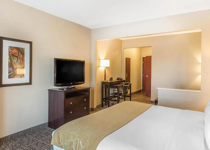 Luxury hotel only: Comfort Suites Fort Wayne North