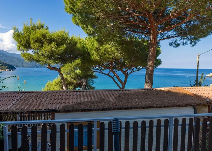 Hotel adatto agli animali: Camping Village Scaglieri