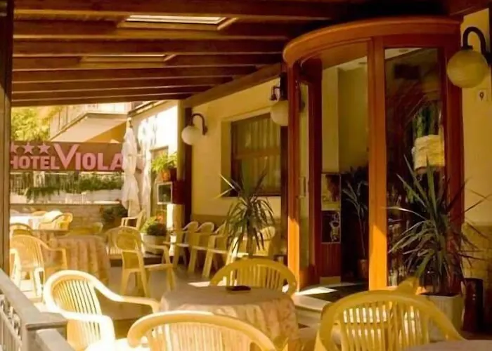 Viola