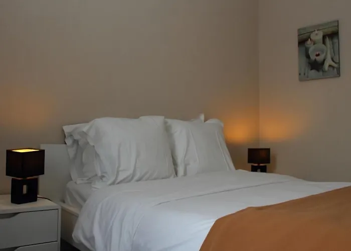 Hôtel accueillant les animaux: Hôtel des quatre saisons