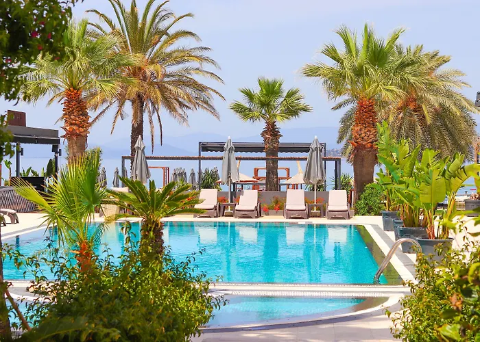 Moyo Luxury Hotel & Beach