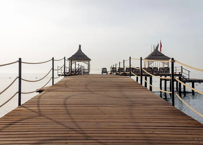 Ping Pong Hotel: Amara Comfort Resort