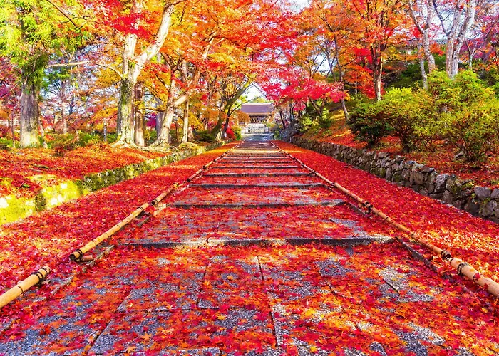 Luxury hotel only: The Machiya Ebisuya