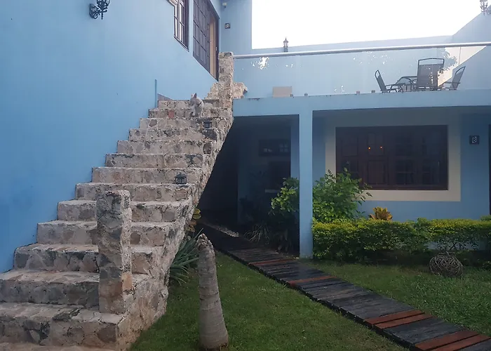 Hotel que admite mascotas: Hotel Maculís