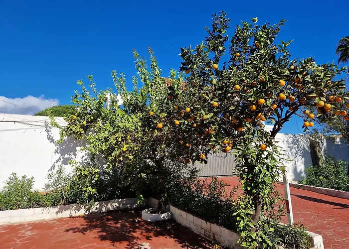 Apartahotel: Villa Costa Marbella