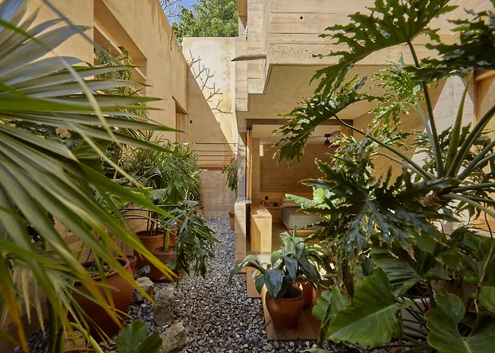 In Luxury hotels Escondido Oaxaca, A Member Of Design s