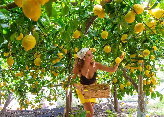 3-Sterne-Hotel: Hotel La Pergola