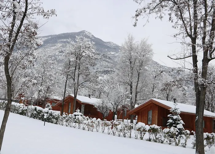Hotel adatto agli animali: Lazy Bee Camping Village