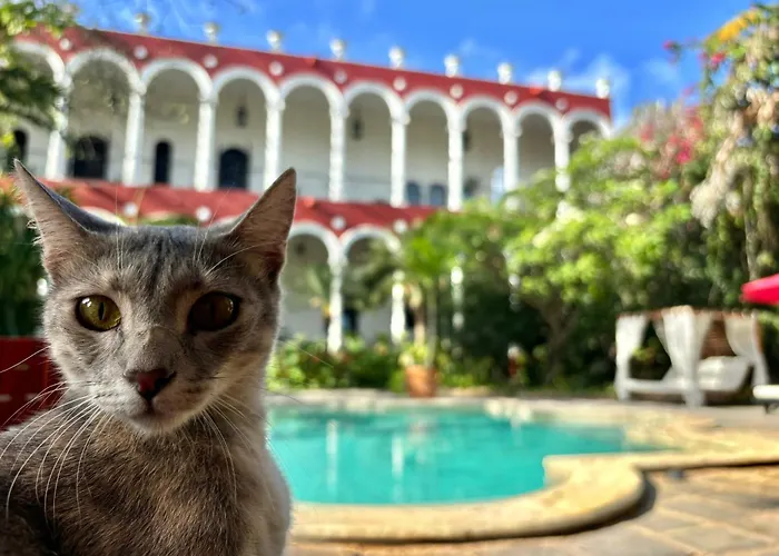 Luxury hotel only: Villa Merida Boutique Hotel - Adults Only