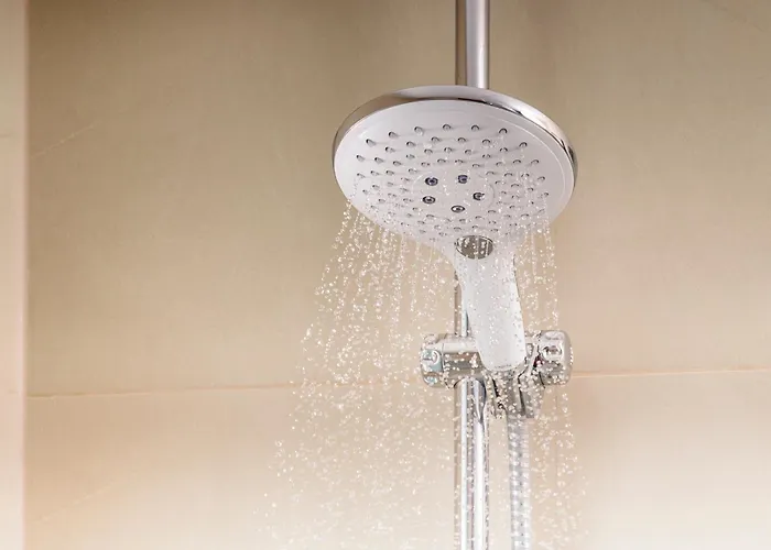 Hotel que admite mascotas: Nh Madrid Atocha