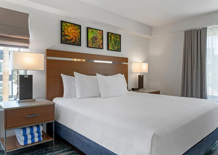 Ping pong hotels Desert Rose