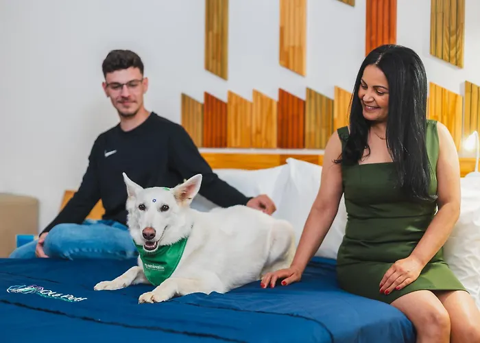 Hotel with pool: Hotel Nacional Inn Curitiba Santa Felicidade