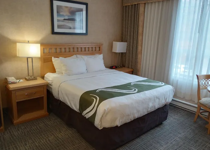 Pets Allowed Hotel Quality Downtown er Harbour