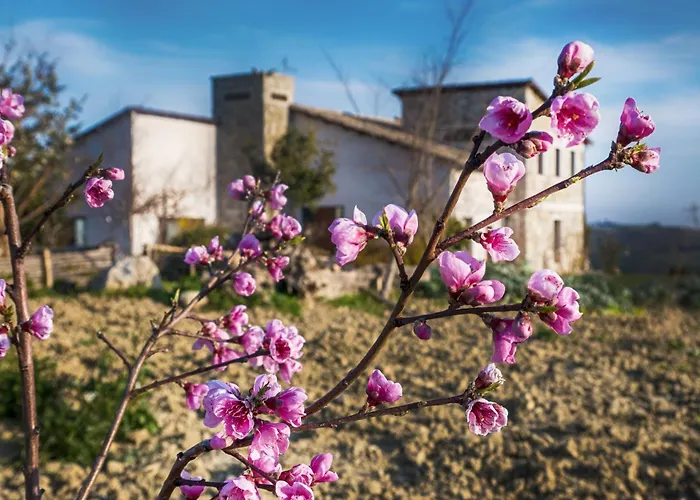 Agriturismo Cignale Penne