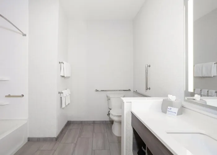 Romantic hotels Holiday Inn Express & Suites Austin South By Ihg