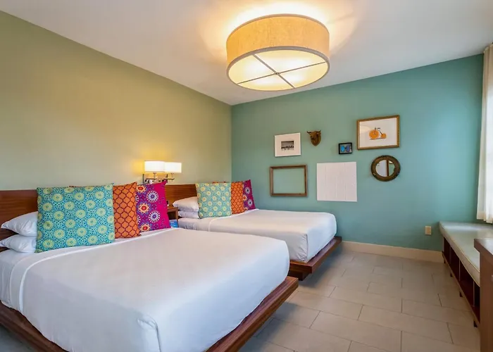 Pets Allowed Hotel Kasa El Paseo Miami Beach