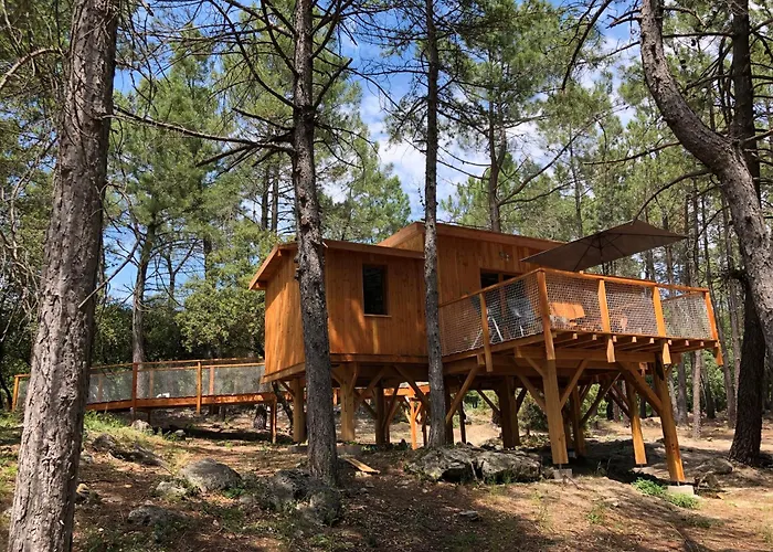 Camping la Simioune en Provence Bollène
