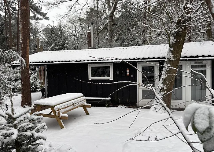 Vakantieverhuur: Boshuisje