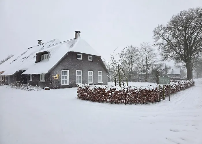 De WiedenWeide