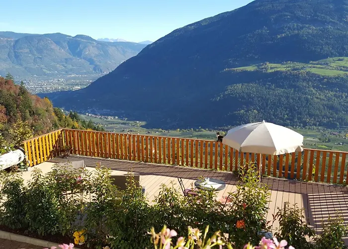 Apartment Niederhaushof