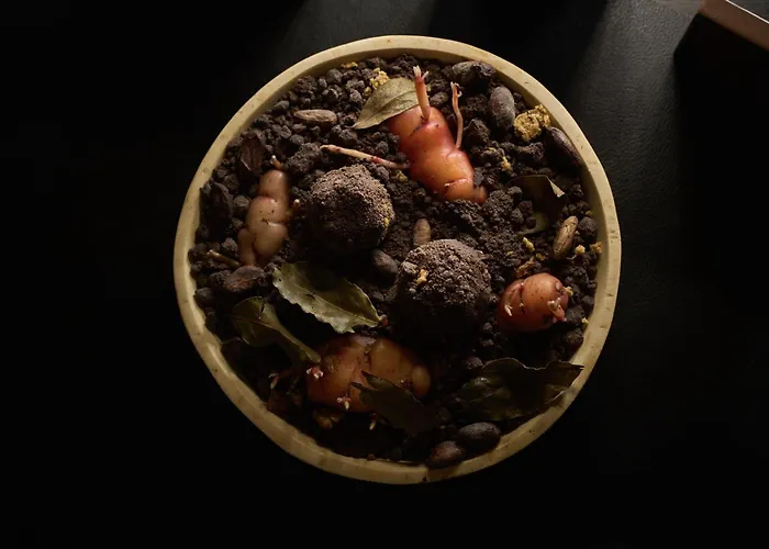  Rothaus Luzern & Peruvian Culinary Art