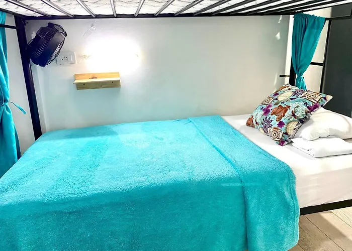 Hotel que admite mascotas: Spring Hostel