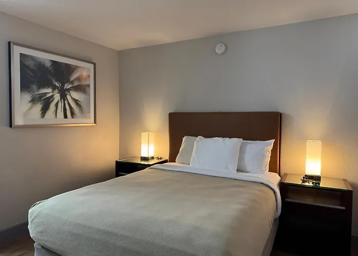 Pet Friendly hotel: Harmony Inn And Suites