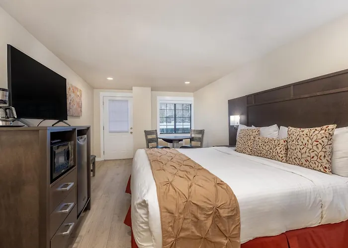 Pet Friendly hotel: Austria Hof Lodge