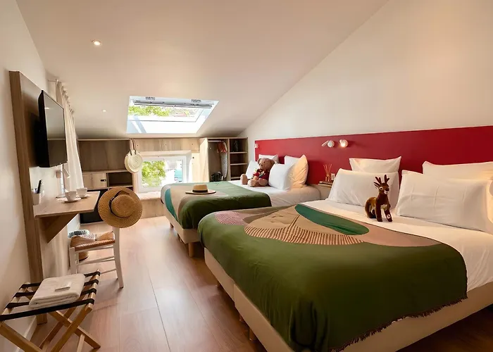 Hôtel accueillant les animaux: Hotel Le Provence - Restaurant Le Styx