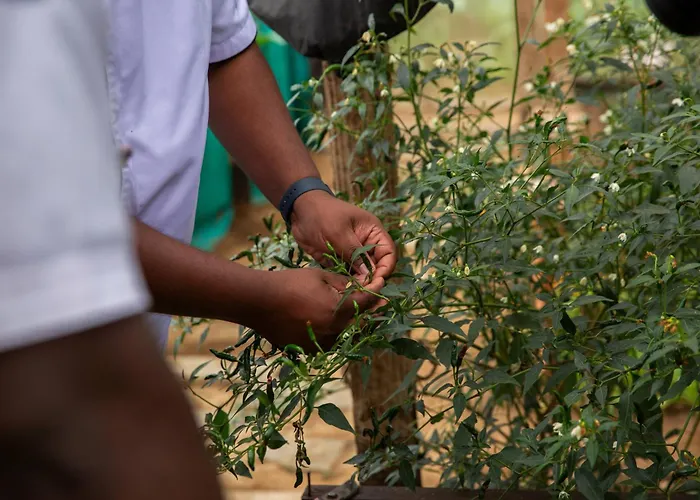Hotel mit Pool: Gran Melia Arusha