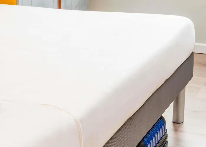 Hôtel accueillant les animaux: Ibis Budget Sarrebourg Buhl