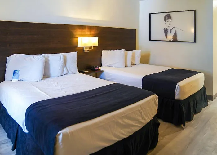 Pet Friendly hotel: Steam Plant Hotel