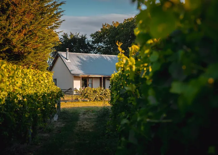 St Leonards Vineyard Cottages