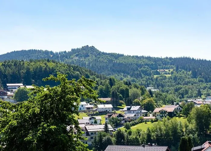 Ferienwohnungen Haus Elisabeth Bodenmais