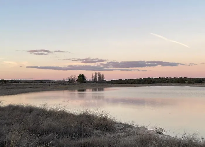  Pernales II