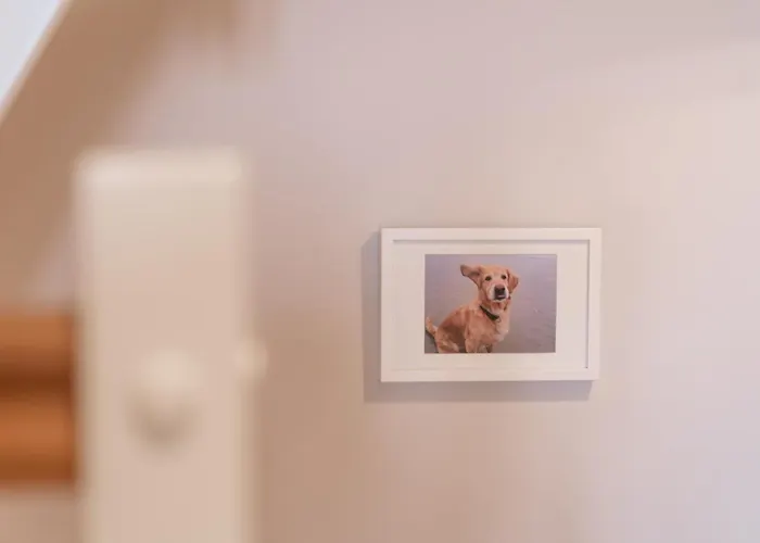 Haustierfreundliches Hotel: Reetdachhaus ASK EMBLA Reetdachhaus EMBLA