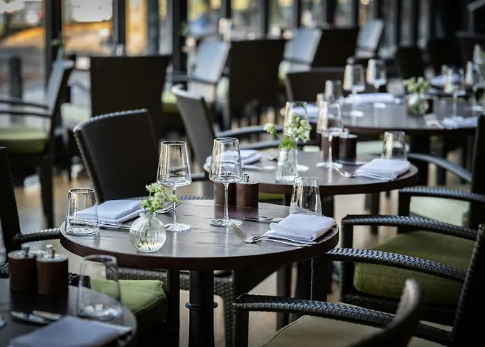 Hôtel accueillant les animaux: The Bristol Hotel