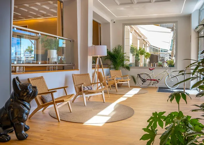 Hotel que admite mascotas: Sol Costablanca
