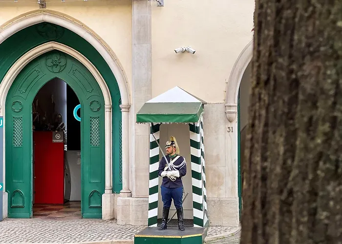 Hôtel accueillant les animaux: Lisboa Carmo Hotel