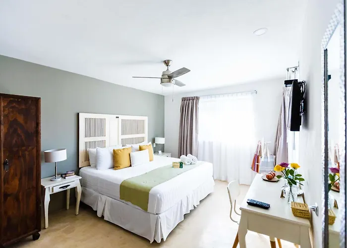 Siesta Holbox