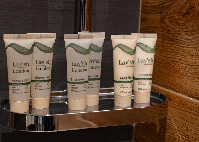 4 star hotel: Time Grand Plaza Hotel, Dubai Airport