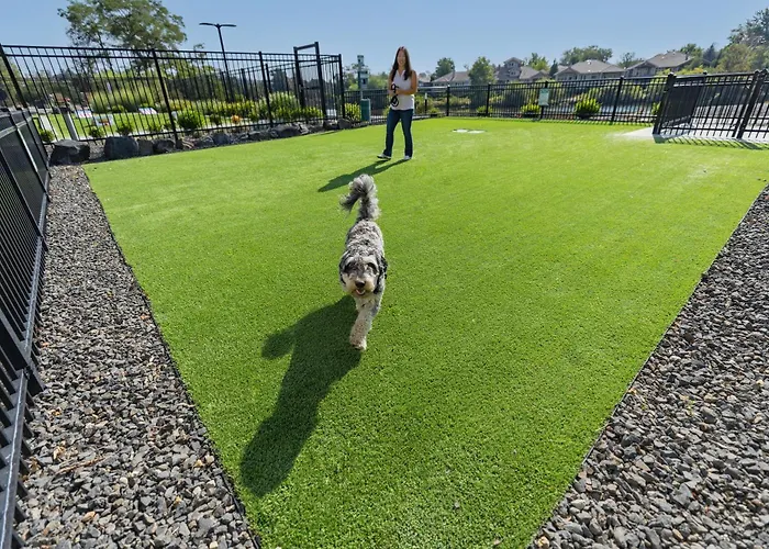 Dog friendly hotels Ruby River (Adults Only)
