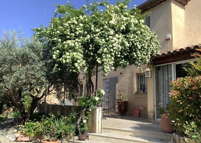 jardin d'antan