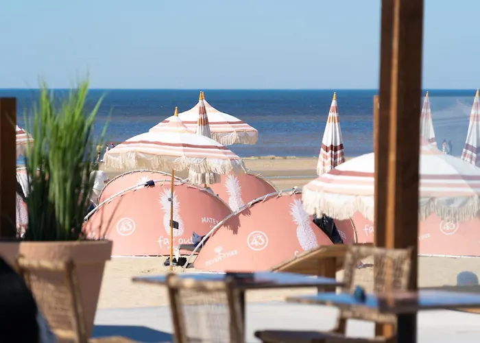 Chalet Zandvoort
