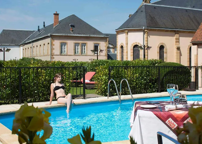 Animaux admis Mercure Moulins Centre De Paris