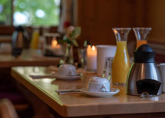 3 SterneHotel &Restaurant Grüner Baum - Die Grüne Oase Am