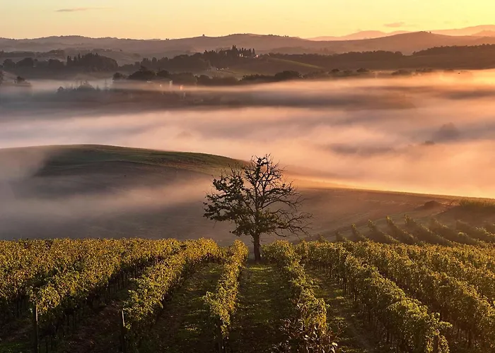  Wine Resort Colsereno