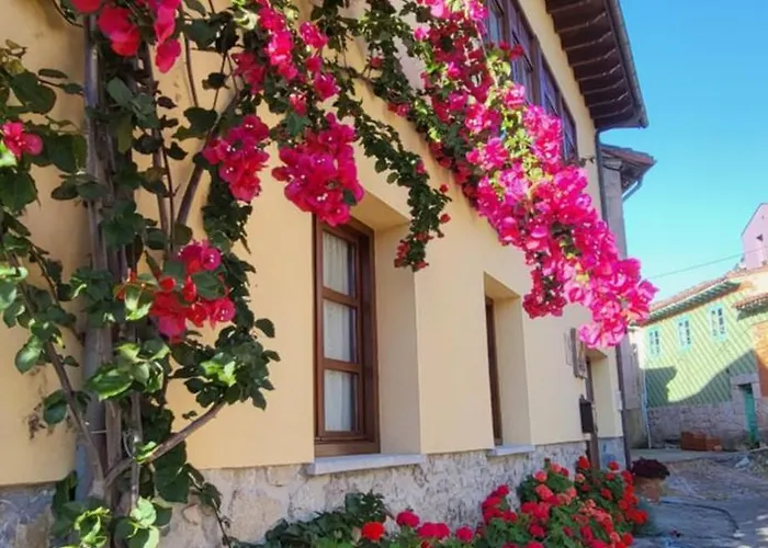 Casa Pelayin