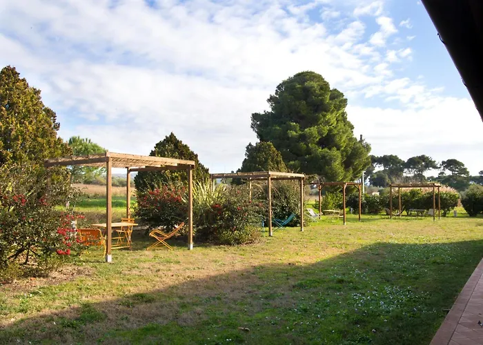 Poggio Agli Ulivi