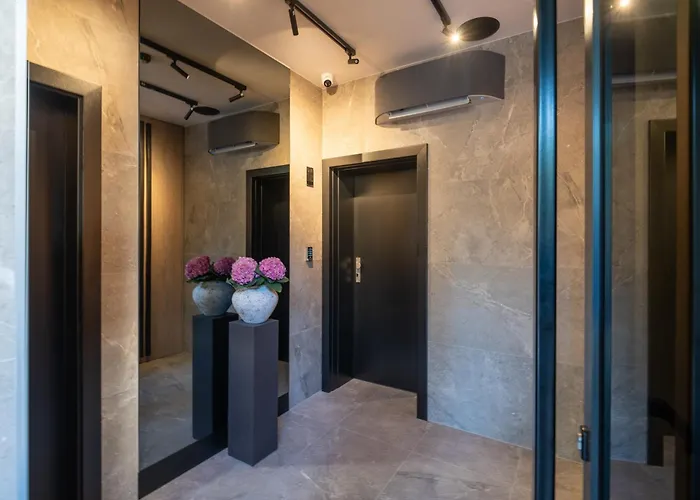  Velvet Rooms & More
